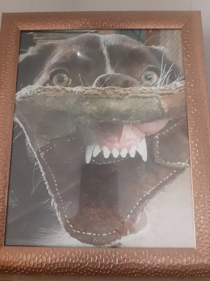 All-In-One Dental Picture 5
