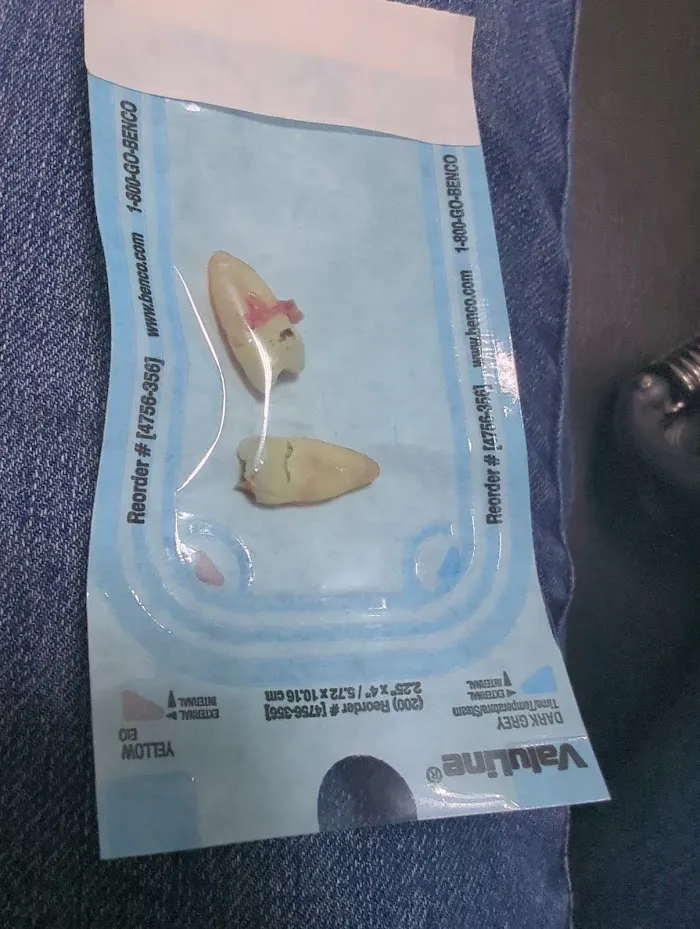 STL Urgent Dental (South County) Picture 3