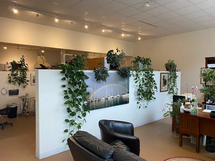 Willits Family Dentistry Picture 4
