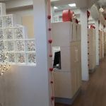 Willow Family Dentistry
