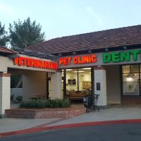 Lyons Dental Place ico
