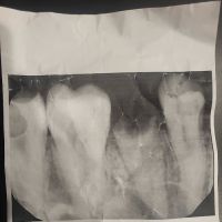 Daniel J. Iannotti, DDS, Inc. ico
