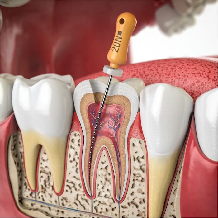 RestoDent General Family & Cosmetic Dentistry Picture 3