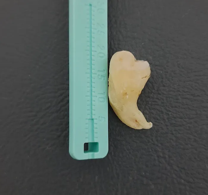 Craft32 Dental Care Picture 2