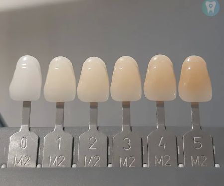 DenTown Dental Clinic
