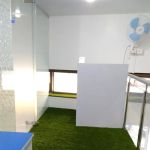 Avani Dental & Health Clinic (Best Dentist Near Me, Implantologist, Best General Physician, Pediatric, Gynaec, Orthopedic)