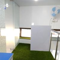 Avani Dental & Health Clinic (Best Dentist Near Me, Implantologist, Best General Physician, Pediatric, Gynaec, Orthopedic) ico