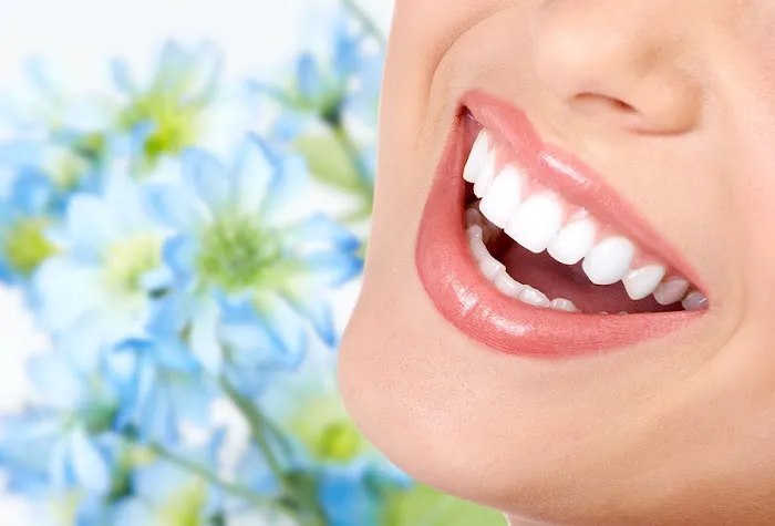 Laconic Dental Studio Picture 3