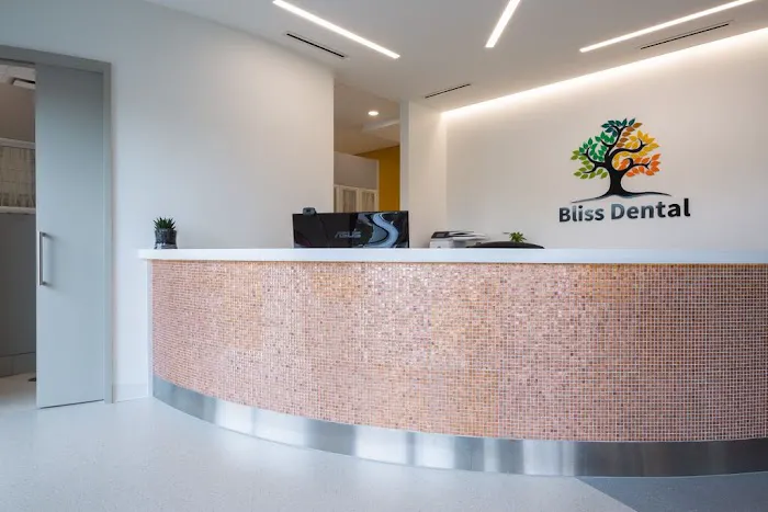 Bliss Dental Picture 1