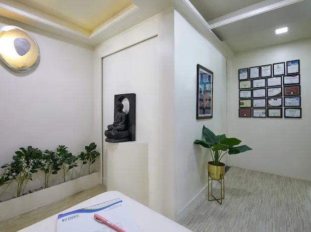 DDS- Dentsspa Dental Studio Picture 6