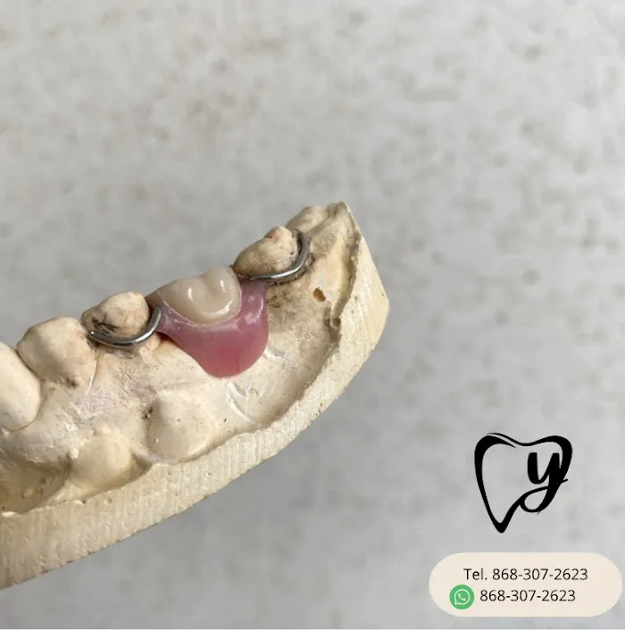 Dental Wellnes - Consultorio Dental Picture 6