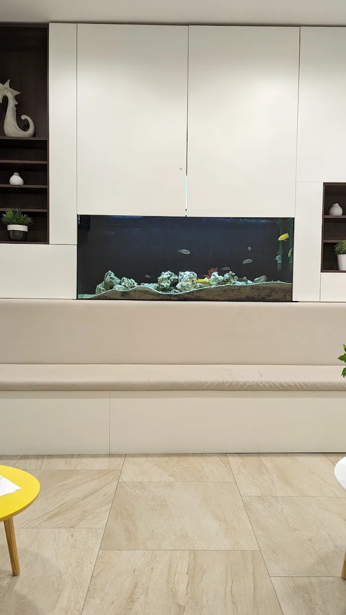 DENT MEDICO Picture 2