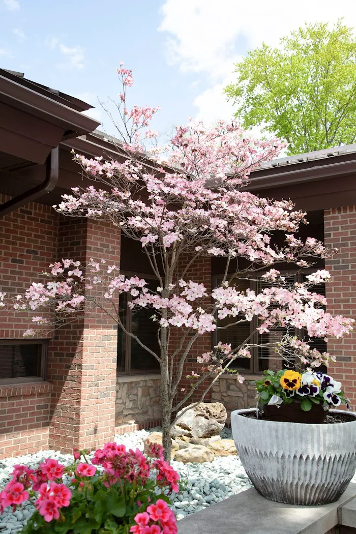 Livonia Family Dental Center Picture 10