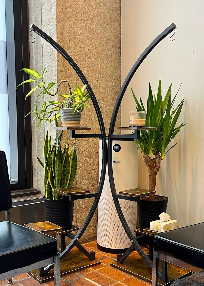 SmilEra Dental Studio Picture 5