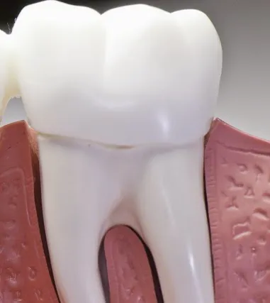 Grande Dental Care Picture 4