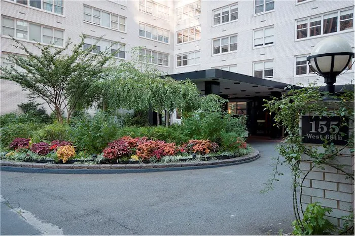 Better Living through Dentistry : Manhattan Picture 5