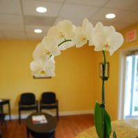 Expressions Dental Care Reston ico