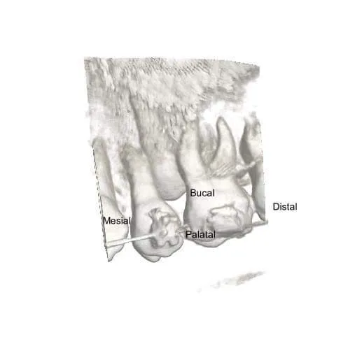 Endo-dent consultorio dental Picture 1