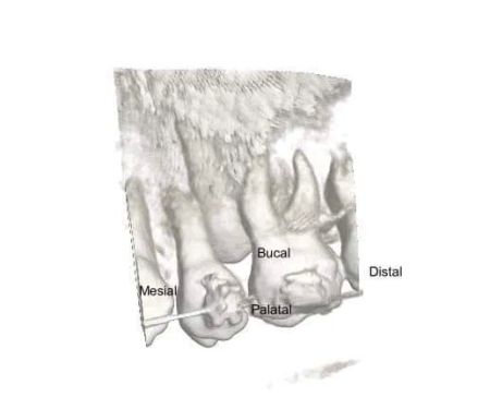 Endo-dent consultorio dental