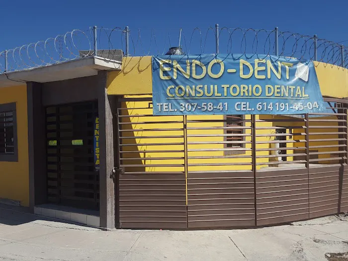 Endo-Dent Picture 1