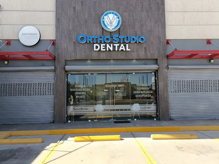 Ortho Studio Dental Picture 3