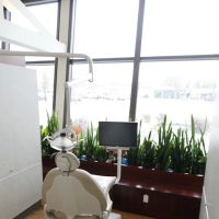 Cool Dental ico