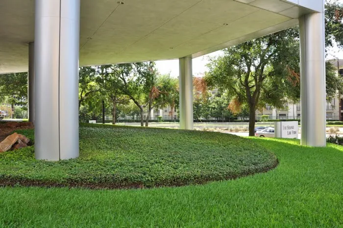 Mint Dental Works - Houston Picture 8