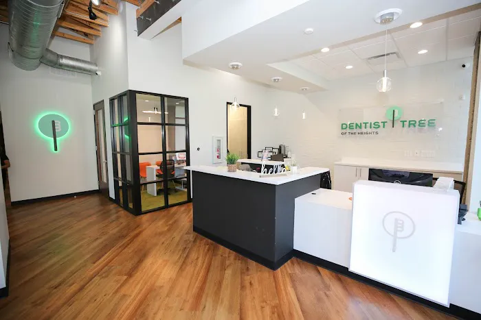 Dentist Tree Of The Heights - Dentist Houston TX | Cosmetic and Emergency Dentist Picture 4