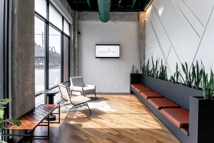 Dentist Tree Of The Heights - Dentist Houston TX | Cosmetic and Emergency Dentist Picture 3
