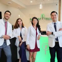 Dentist Tree Of The Heights - Dentist Houston TX | Cosmetic and Emergency Dentist ico
