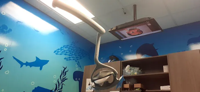 FRESH DENTAL CARE 45 North Picture 5
