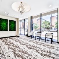 Vivid Smiles Chicago ico