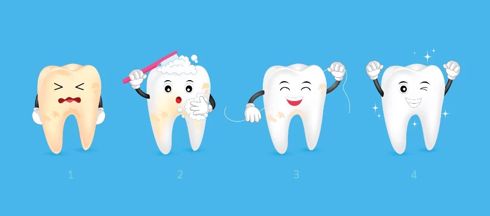 Healthy Habits for Protecting Your Teeth from Damage: Essential Tips for Stronger, Healthier Teeth