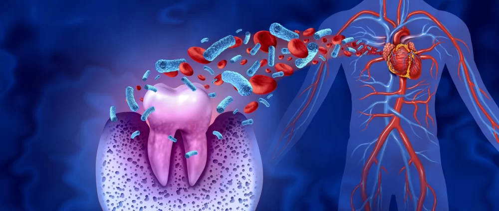 The Connection Between Heart Disease and Gum Disease: How Oral Health Impacts Cardiovascular Health
