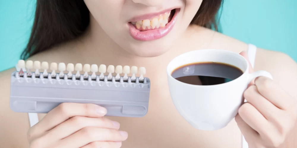 How to Choose the Best Toothbrush for Seniors: A Complete Guide