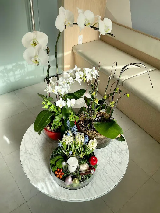 Dentist New Westminster Picture 7