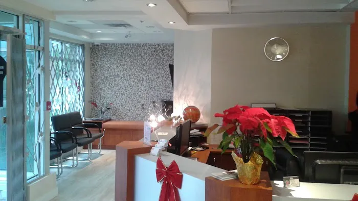 Halo Dental - New Westminster Picture 6