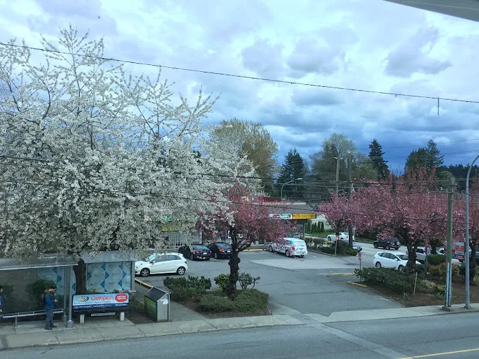 Burnaby Square Dental Picture 5