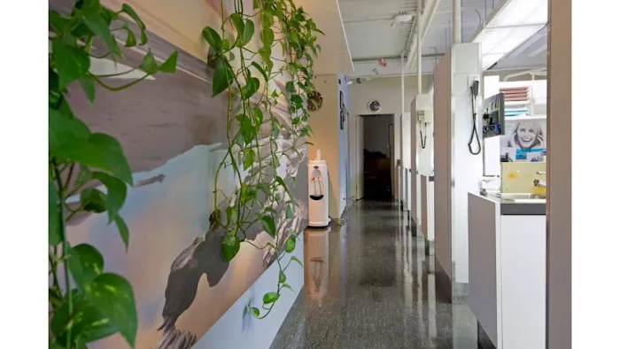 Austin Heights Dental Picture 4