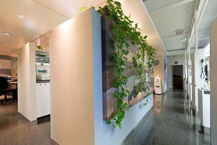 Austin Heights Dental Picture 9