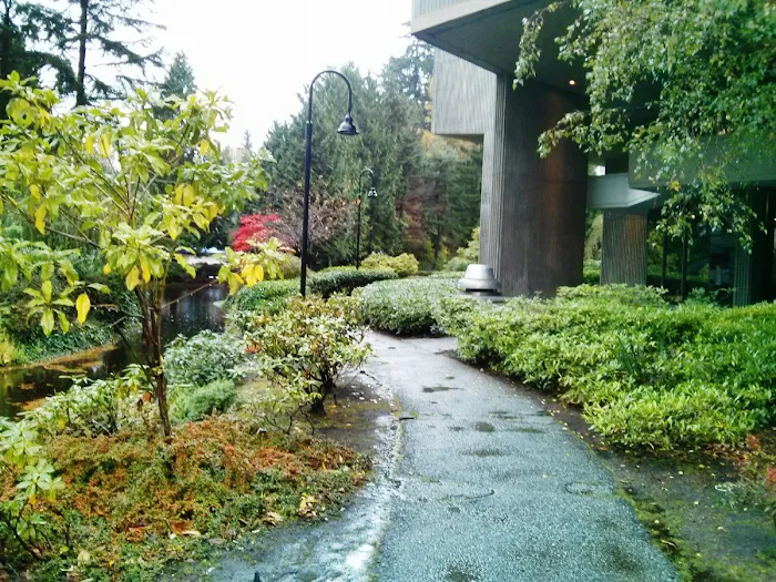 Lougheed Village Dental Picture 6