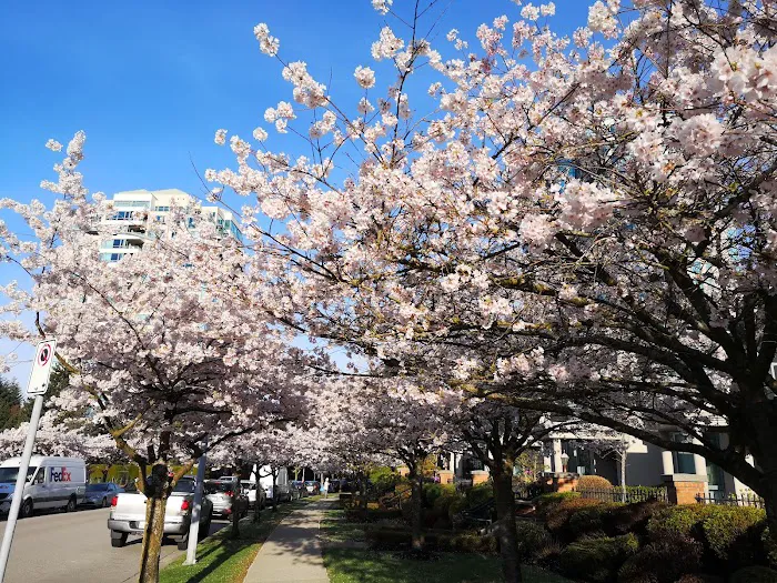 Middlegate Burnaby Dentist Picture 5
