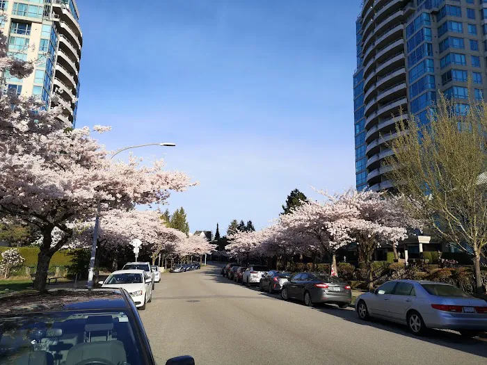 Middlegate Burnaby Dentist Picture 8