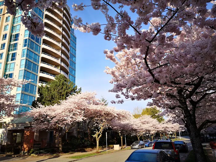 Middlegate Burnaby Dentist Picture 6