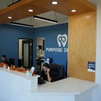 Purpose Dental ico