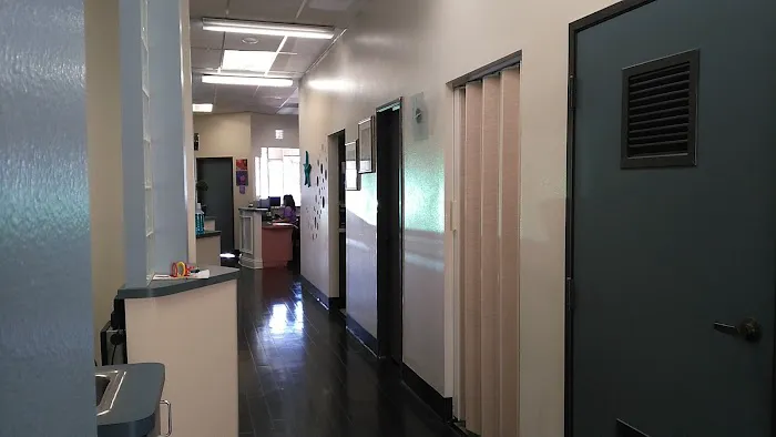 North Coast Dental Excellence Picture 6