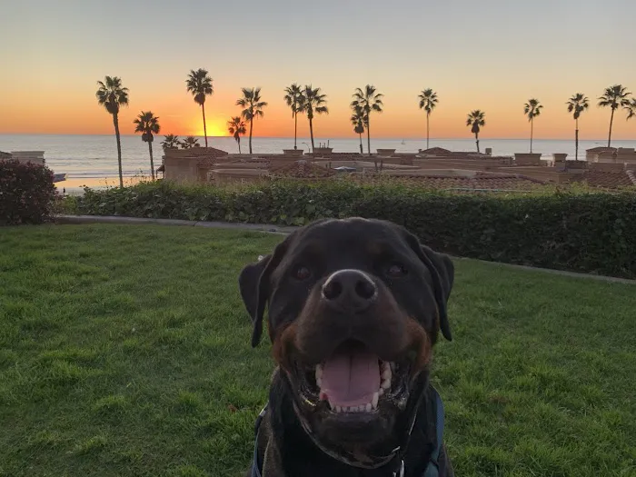 Oceanside Dental Picture 1