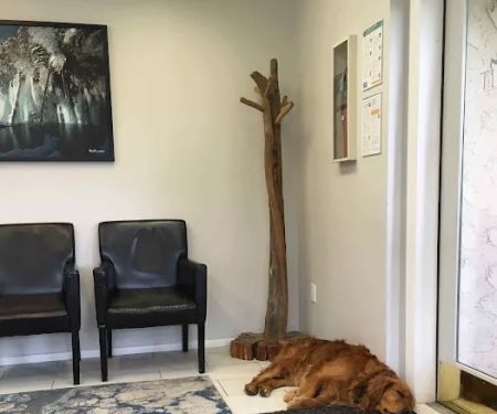 Summit Dental Group