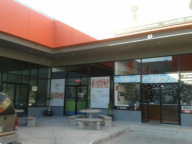 DENTISTA Picture 3