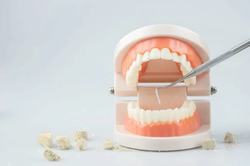 Best Toothpaste for Tartar Removal and Effective Oral Care Tips